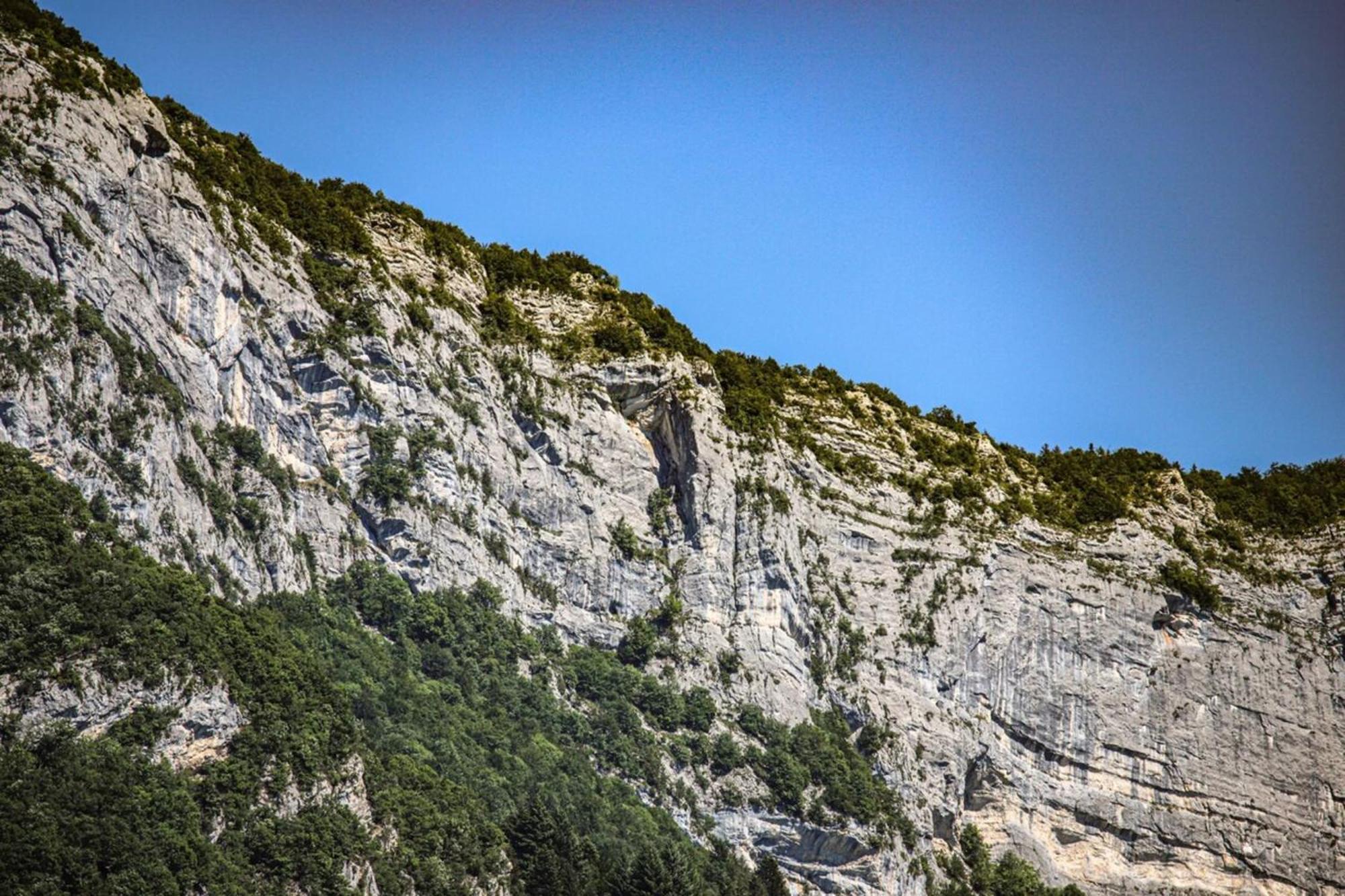 La Bulle Verte T2 Proche Lac Avec Parking - 3 Annecy Dış mekan fotoğraf